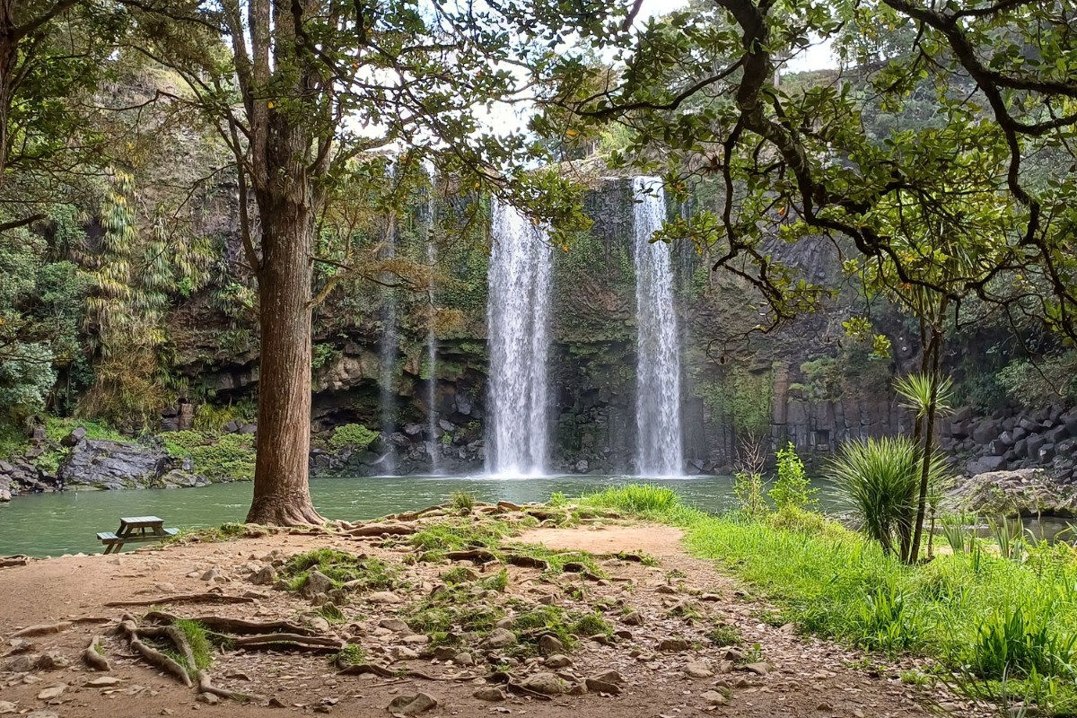 image of the Whangārei falls from its base in Tikipunga, Whangārei